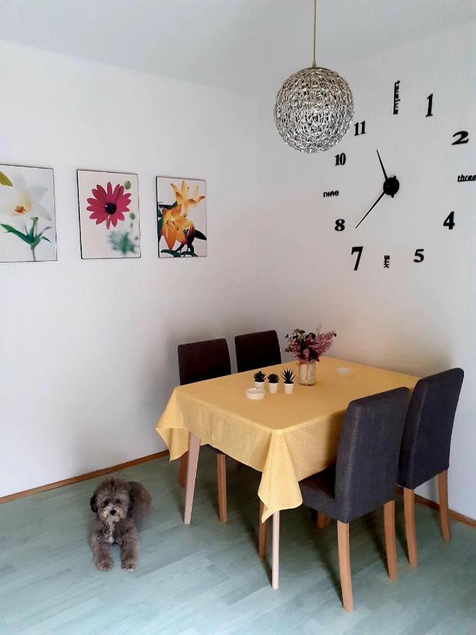 נובי סאד Apartman Danube מראה חיצוני תמונה